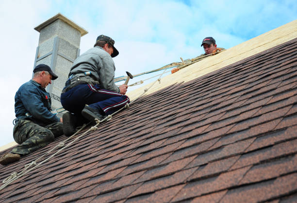 Best Residential Roofing Contractor  in Gardnerville Ranchos, NV